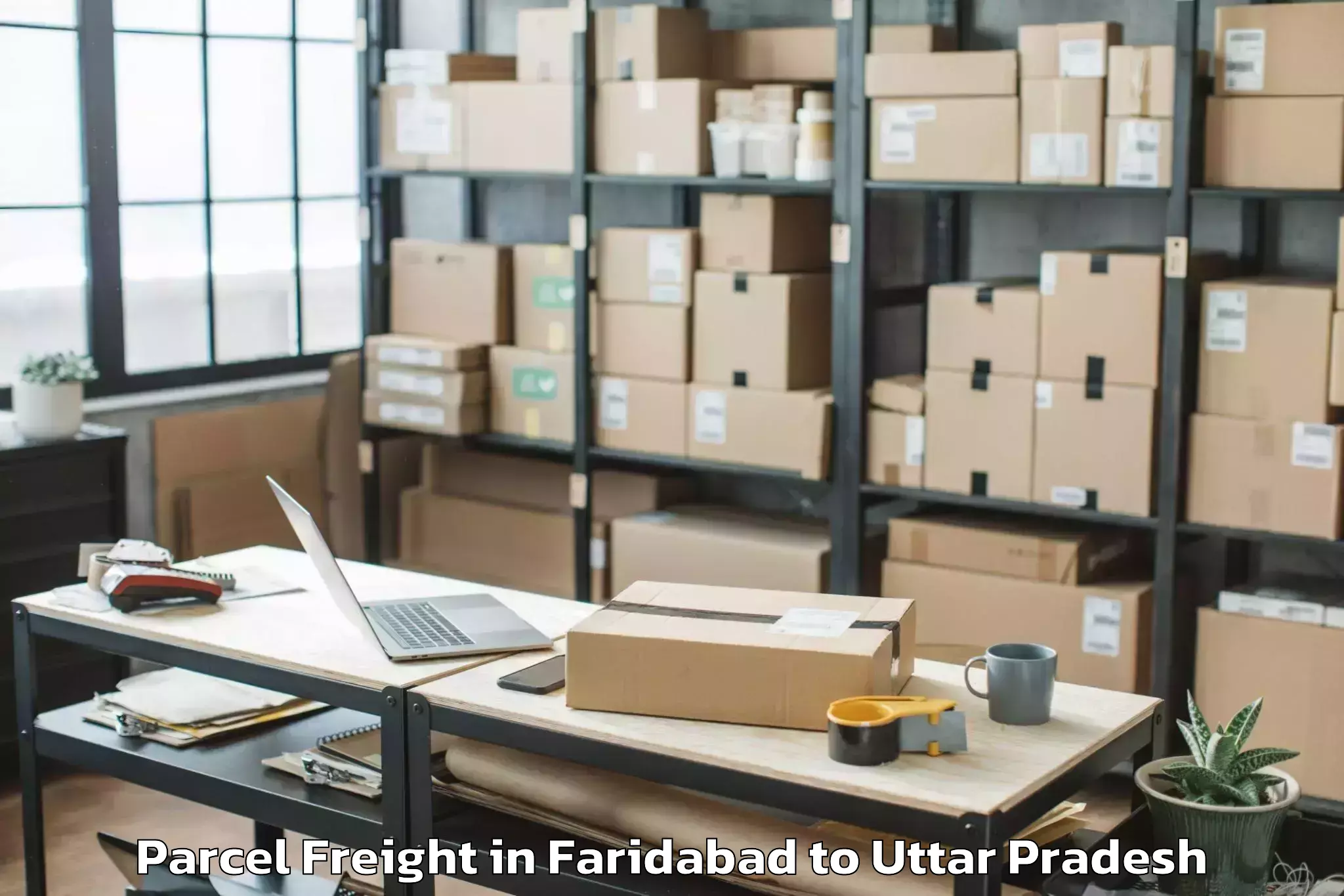 Book Your Faridabad to Js University Shikohabad Parcel Freight Today